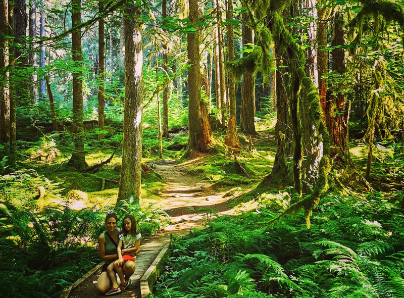 Olympic NP